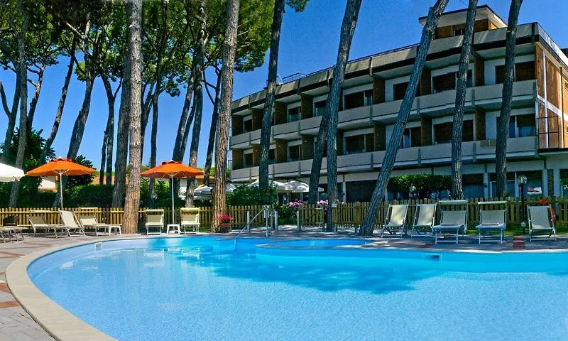 Hotel Le Pleiadi Forte dei Marmi 4*,