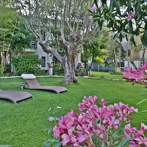 https://hotel-santa-maria-santa-maria-navarrese.in-sardinia.net